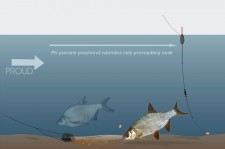 Feeder vs plavaná.jpg